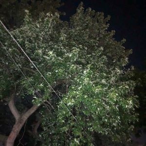 Meet your Posher, Ivy